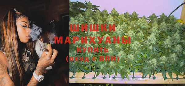 прущие грибы Нея