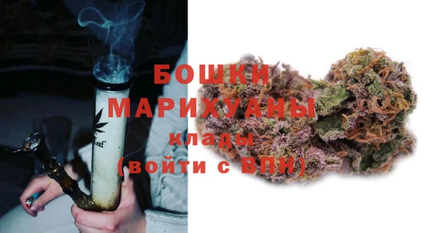 прущие грибы Нея