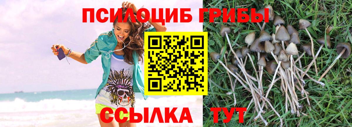 Псилоцибиновые грибы Cubensis Мирный